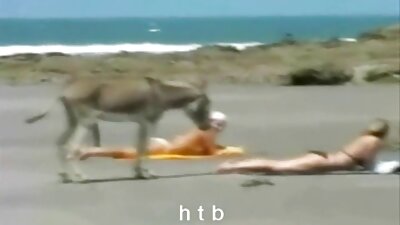 Minőségi szopást származó sex anyával aranyos barátnője